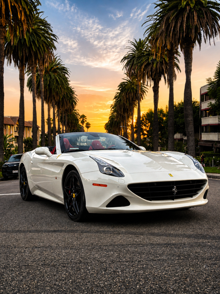 white ferrari palm trees sunset