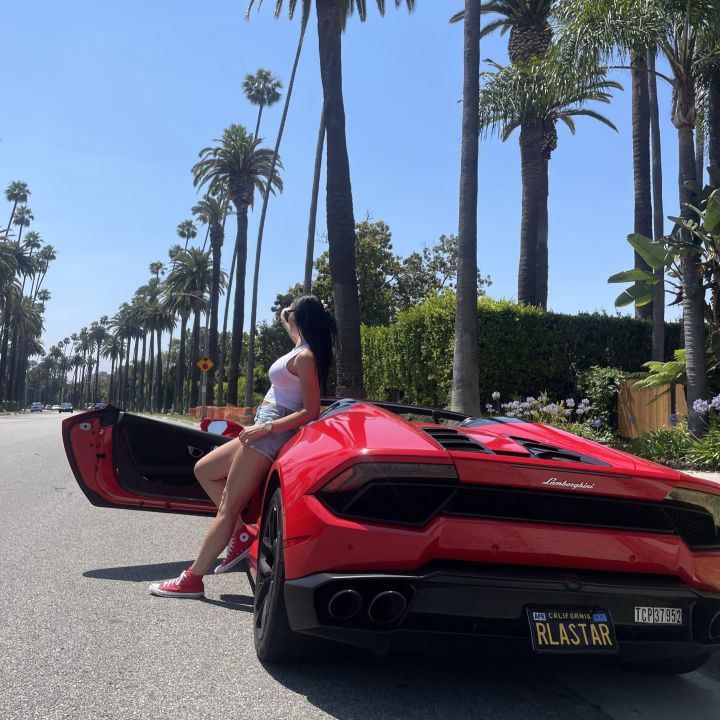 Palm tree woman lamborghini scaled