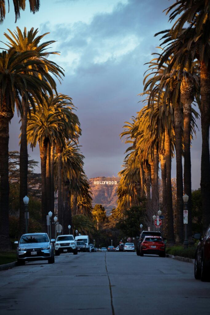 Palm trees street Hollywood Sign Los Angeles
