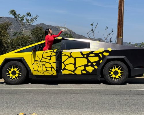 Cybertruck woman Los Angeles Ride Like A Star Hollywood Sign Driving Experience