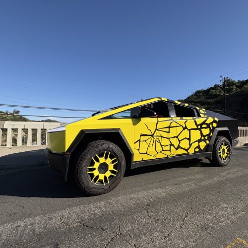Cybertruck Los Angeles Ride Like A Star Palm Tree Driving Experience