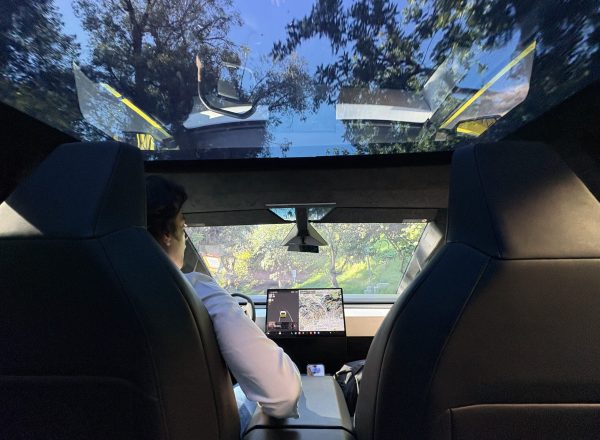 Cybertruck Los Angeles Ride Like A Star Palm Tree Driving Experience