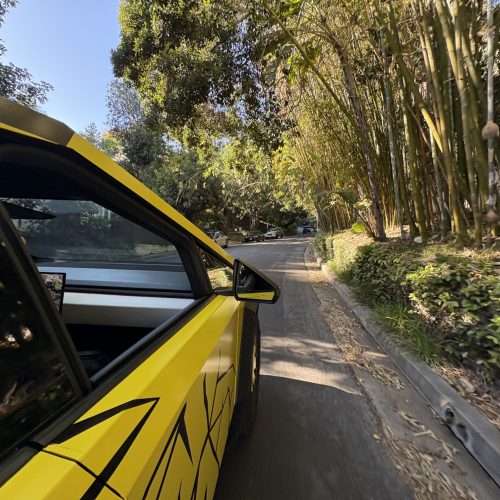 Cybertruck Los Angeles Ride Like A Star Palm Tree Driving Experience