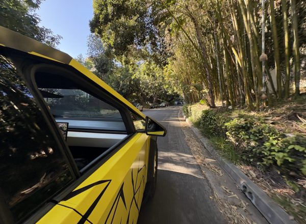 Cybertruck Los Angeles Ride Like A Star Palm Tree Driving Experience