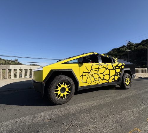 Cybertruck Los Angeles Ride Like A Star Palm Tree Driving Experience