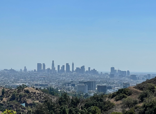 Los Angeles Skyline Downtown view