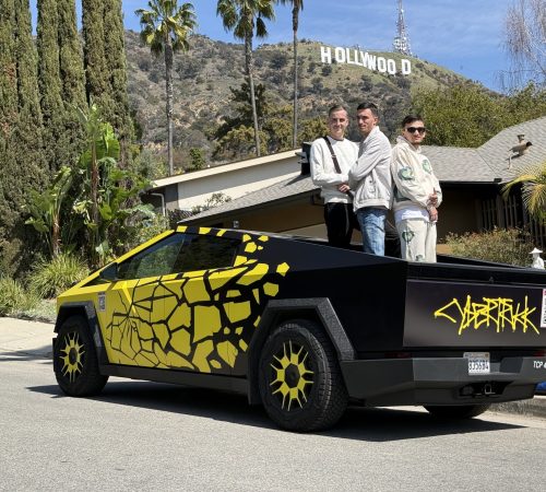 Cybertruck Los Angeles Ride Like A Star Palm Tree Driving Experience