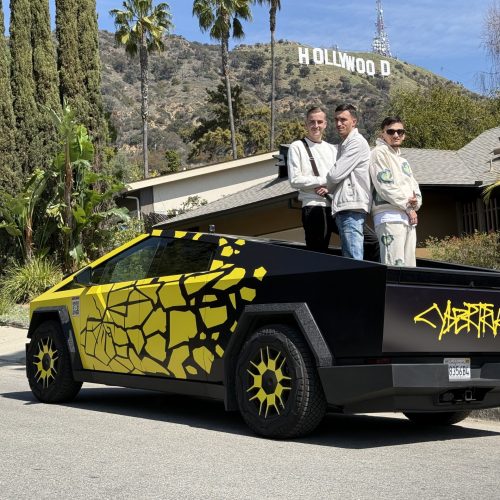 Cybertruck Los Angeles Ride Like A Star Palm Tree Driving Experience