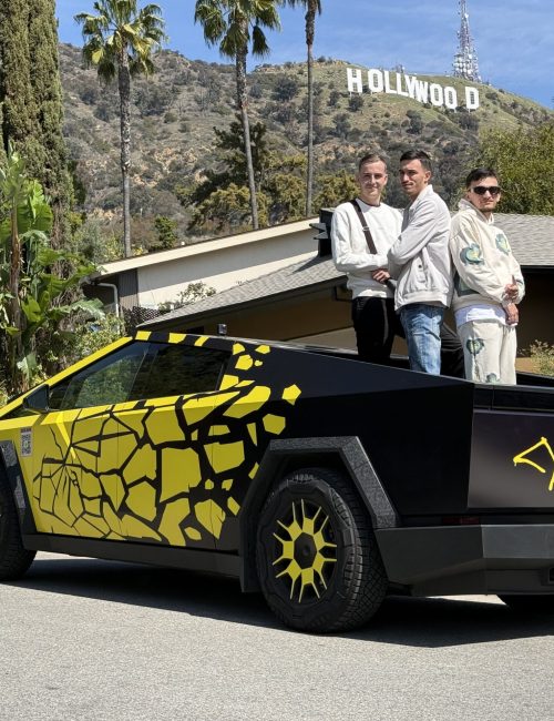 Cybertruck Los Angeles Ride Like A Star Palm Tree Driving Experience